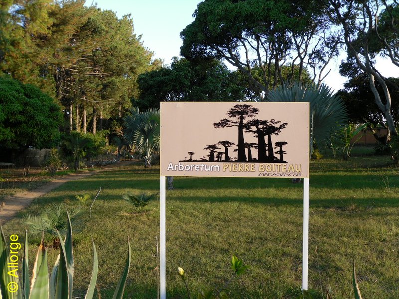Arboretum