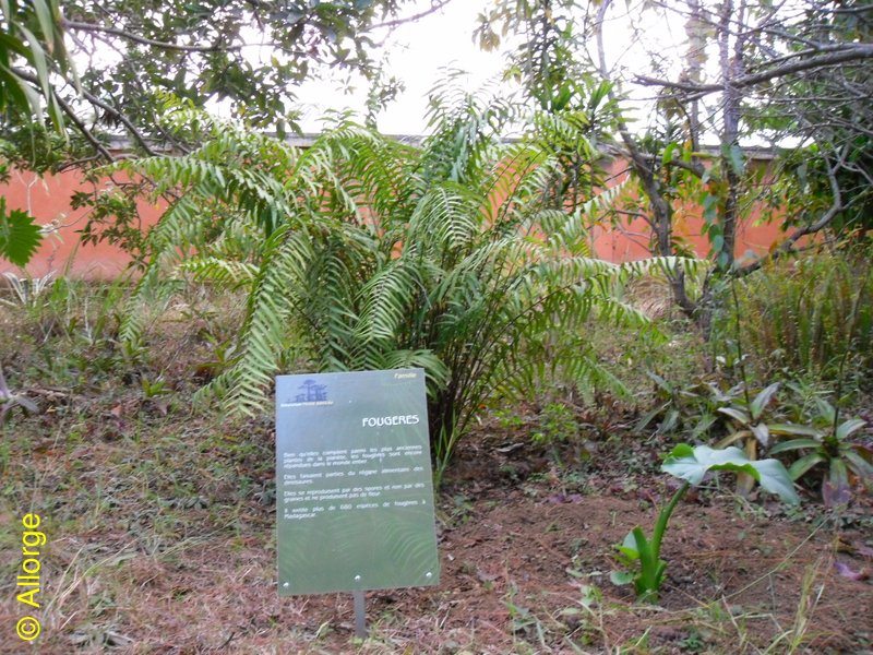Arboretum