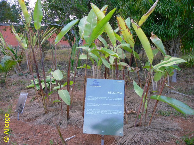 Arboretum
