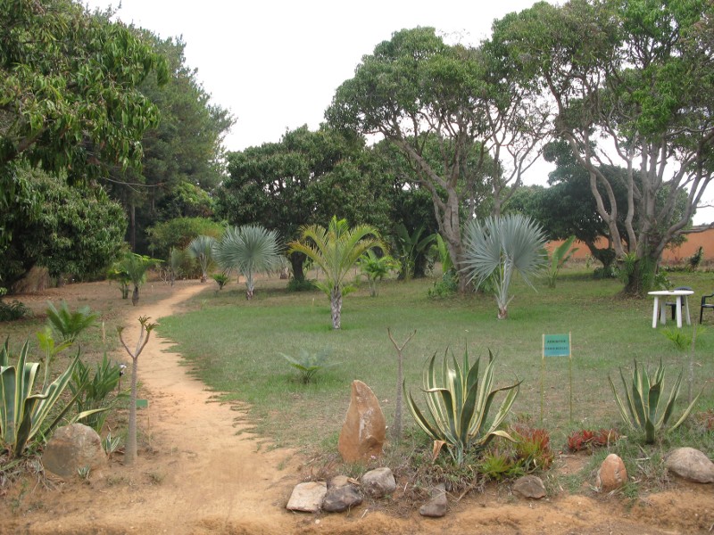 Arboretum