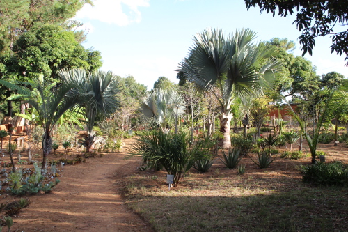 Arboretum