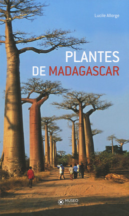 Plantes de Madagascar